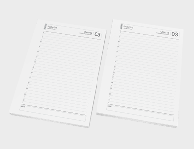 Miolo de Agenda A5 Sulfite 75g PB - Modelo Diária 2026 - 1x1 - 250 unid